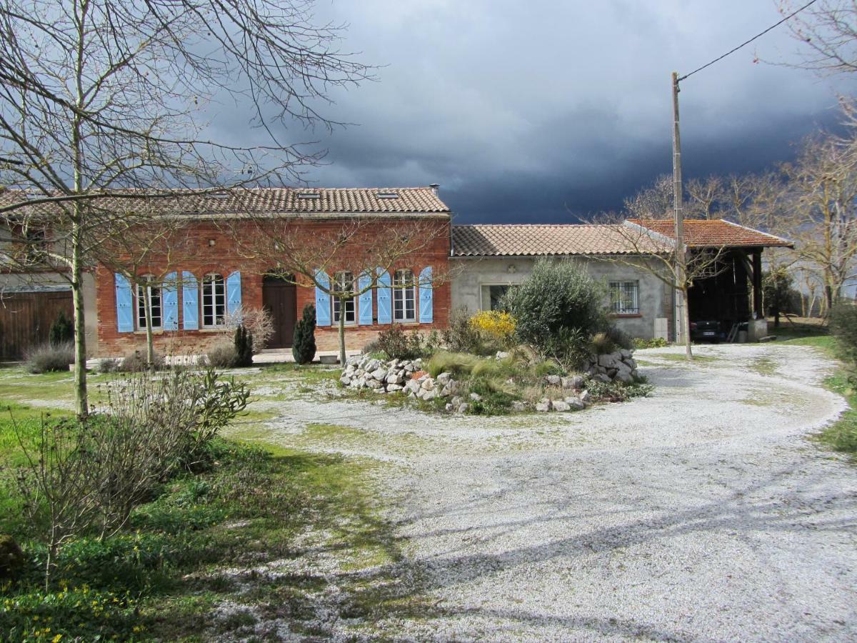 Le Piquet Villa Fonsorbes Dış mekan fotoğraf